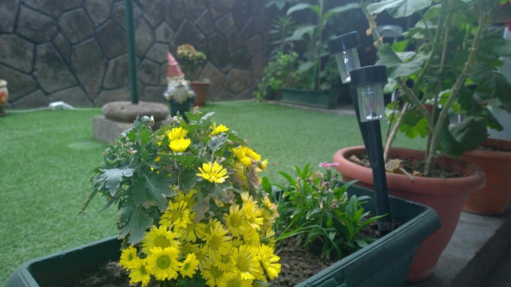 Bed & Breakfast Blumen Haus Santiago de Chile Bagian luar foto