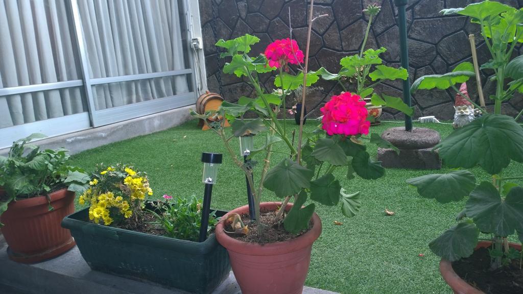 Bed & Breakfast Blumen Haus Santiago de Chile Bagian luar foto