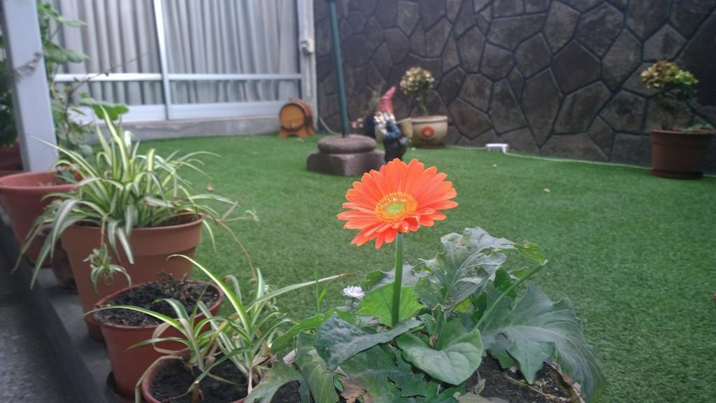 Bed & Breakfast Blumen Haus Santiago de Chile Bagian luar foto