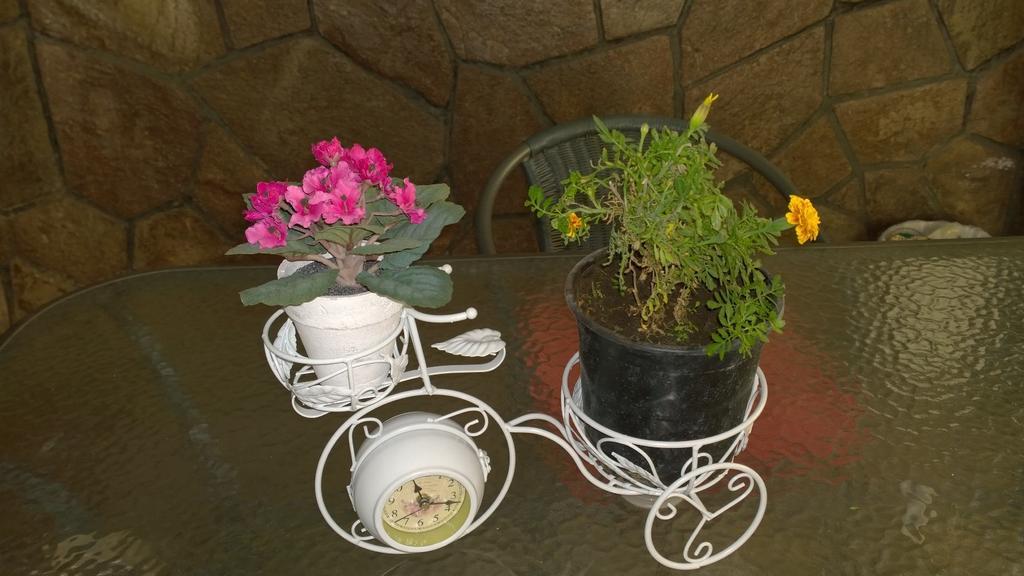 Bed & Breakfast Blumen Haus Santiago de Chile Bagian luar foto