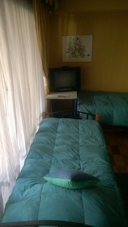 Bed & Breakfast Blumen Haus Santiago de Chile Bagian luar foto